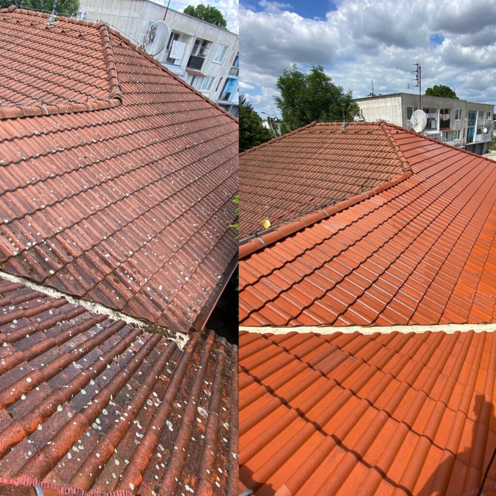 Čistenie strechy