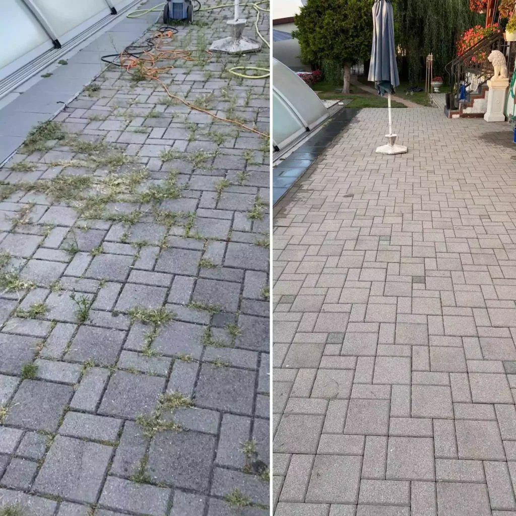 Čistenie zámkovej dlažby pred a po – odstránenie buriny a machu zo škár terasy pri bazéne s dekoratívnou sochou leva a slnečníkom